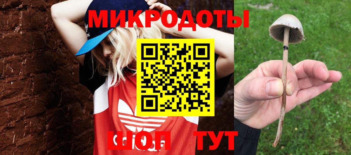 Псилоцибиновые грибы Magic Shrooms Новошахтинск
