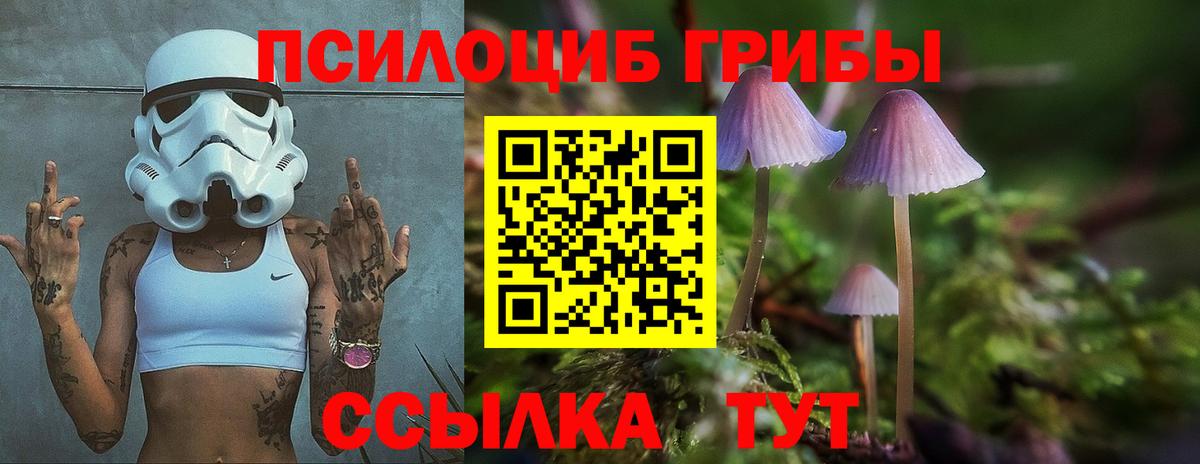 Галлюциногенные грибы мицелий  Вход с VPN  купить наркотики цена  Новошахтинск 